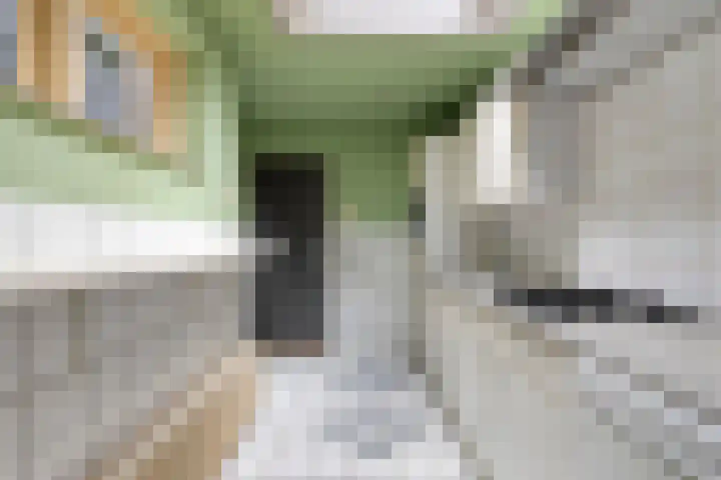 Hoofdpoortstraat 52 Zierikzee thumbnail 14