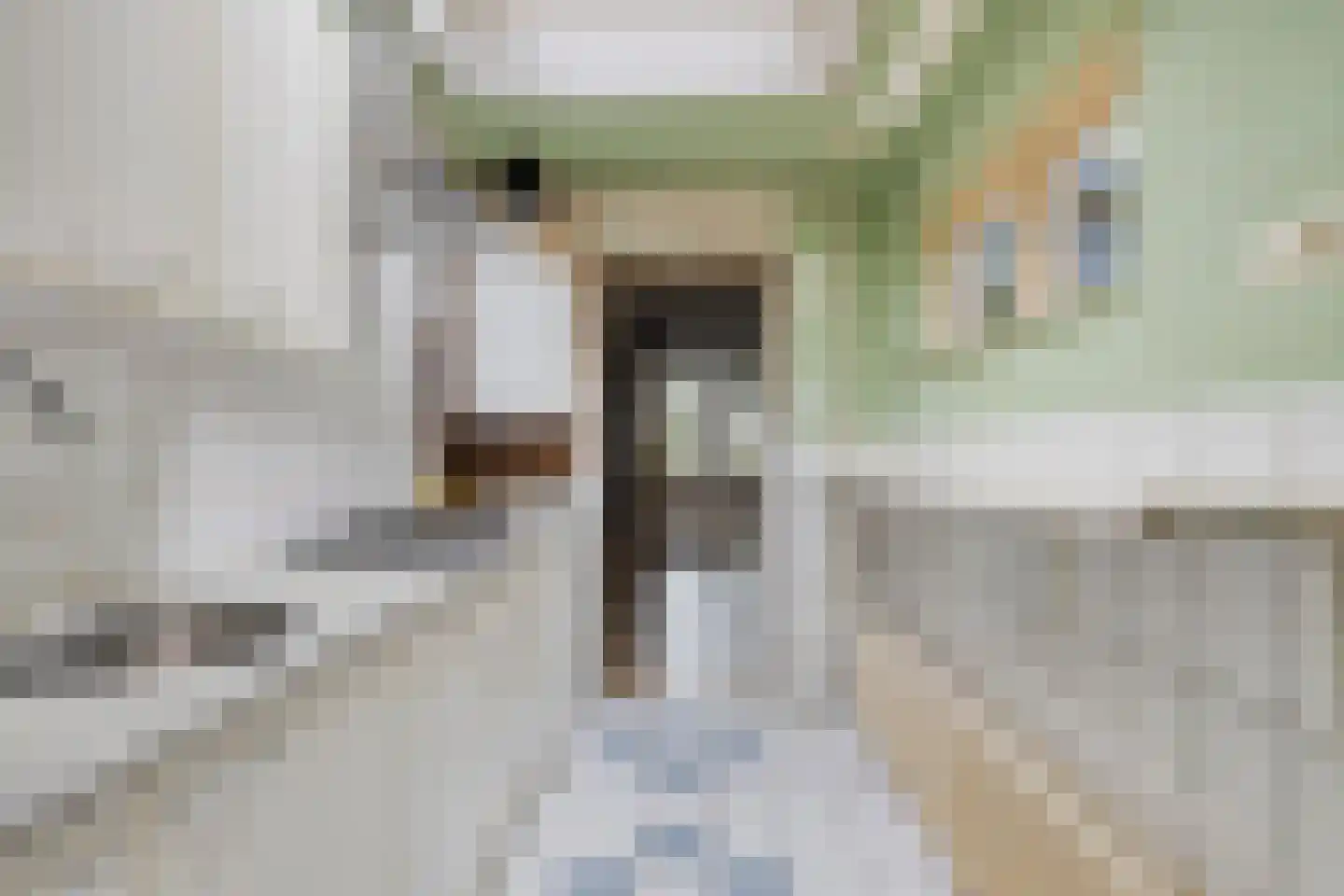 Hoofdpoortstraat 52 Zierikzee thumbnail 15