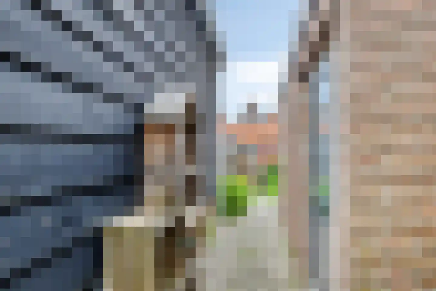 Hoofdpoortstraat 52 Zierikzee thumbnail 26