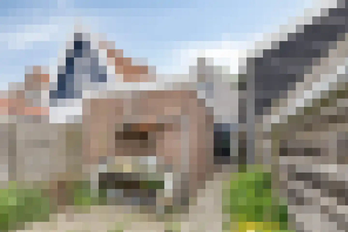 Hoofdpoortstraat 52 Zierikzee thumbnail 28