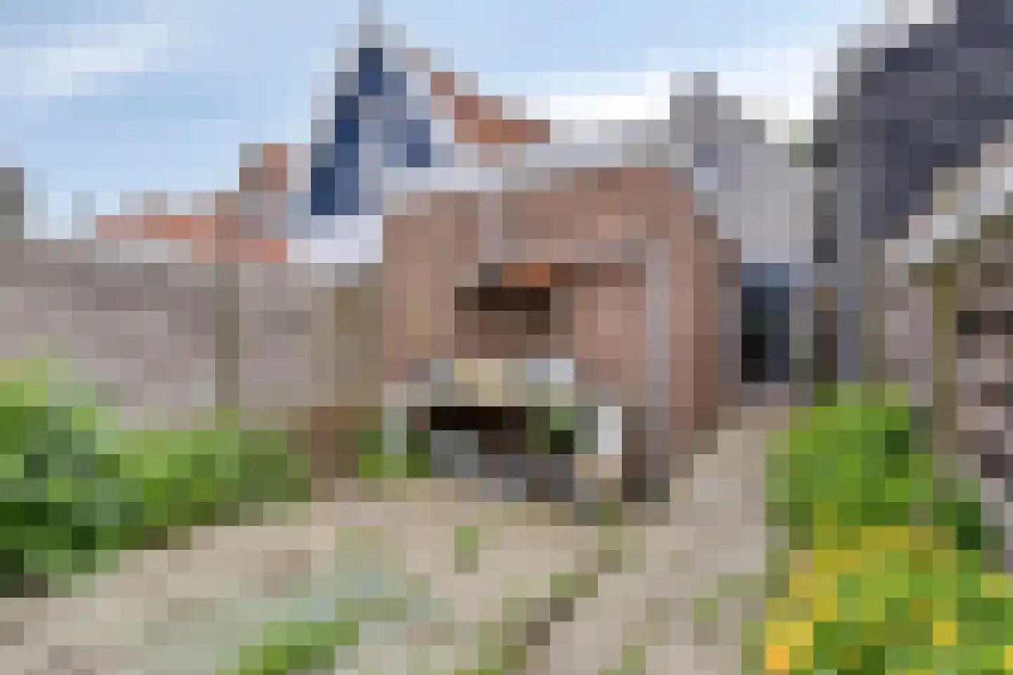 Hoofdpoortstraat 52 Zierikzee thumbnail 29