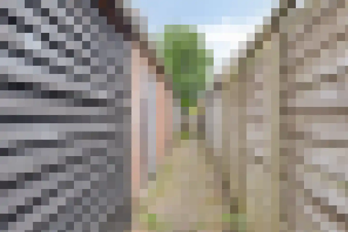 Hoofdpoortstraat 52 Zierikzee thumbnail 30