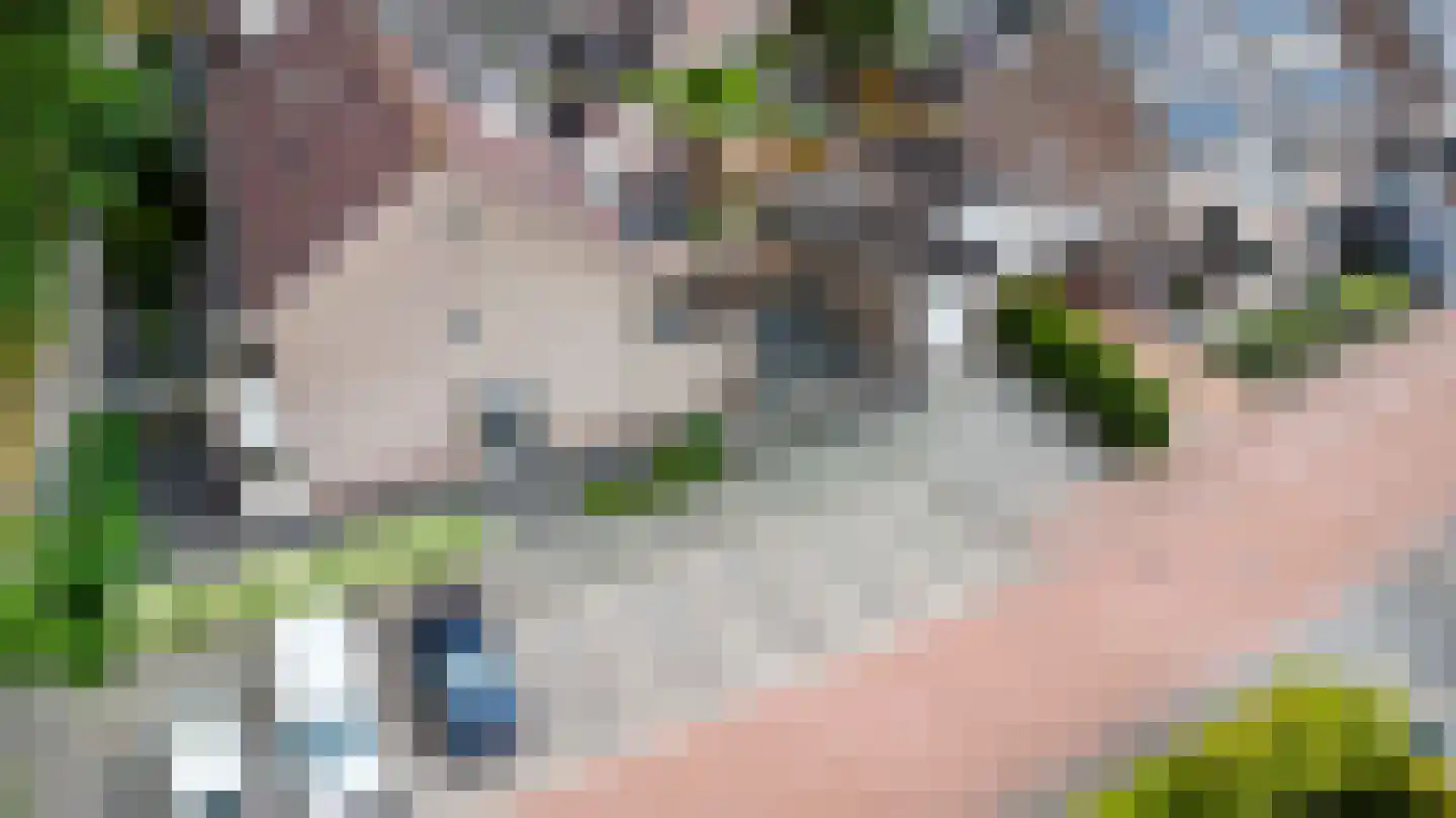 Hoofdspoor 41 Genemuiden thumbnail 28