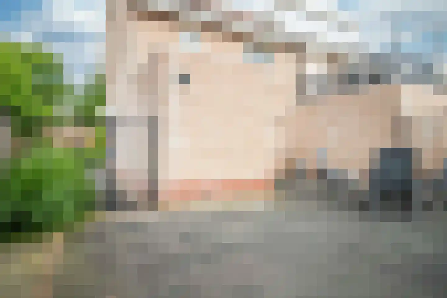 Hoofdspoor 41 Genemuiden thumbnail 30