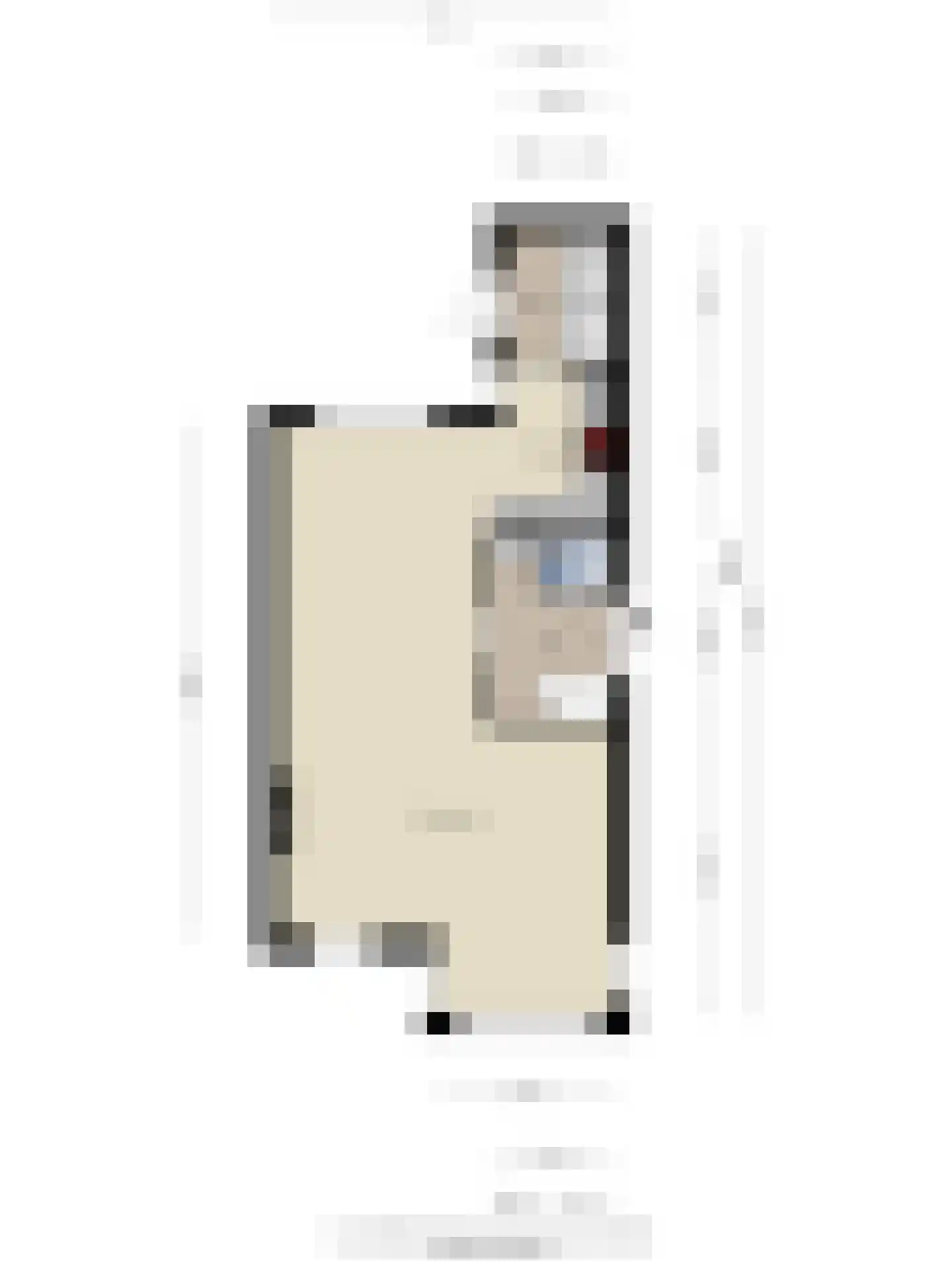 Hoofdspoor 41 Genemuiden thumbnail 40