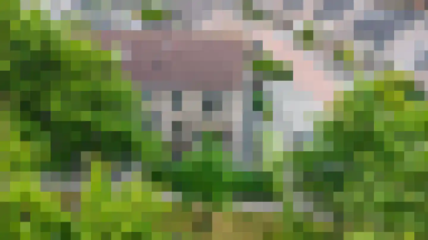 Hoofdspoor 41 Genemuiden thumbnail 5