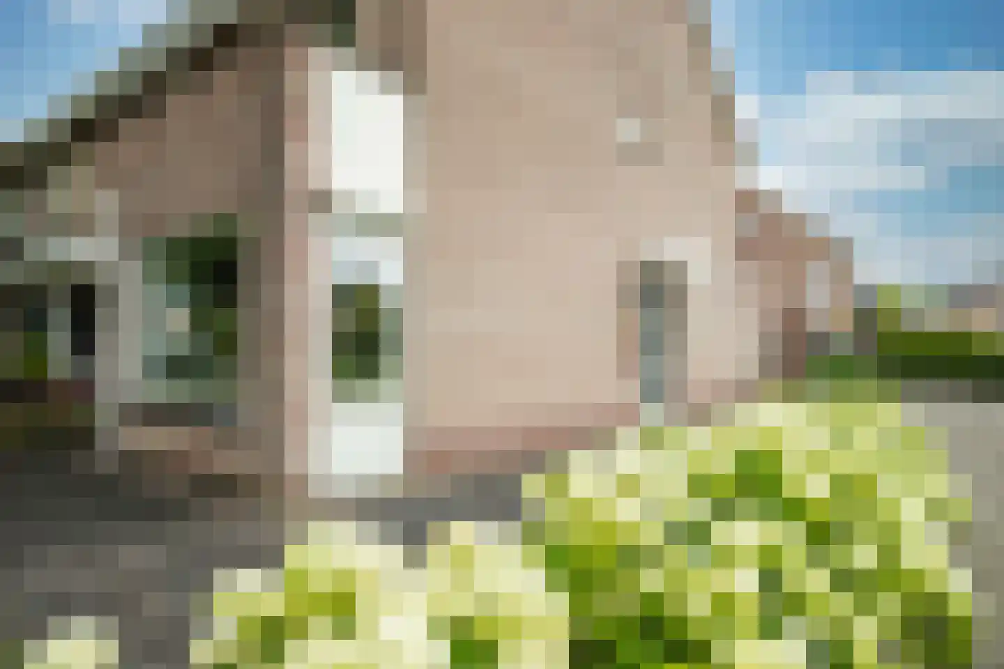 Hoofdspoor 41 Genemuiden thumbnail 9