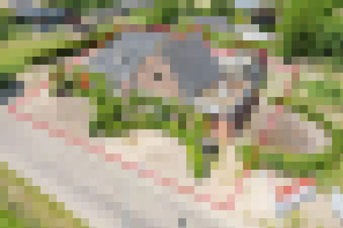 Hoofdstraat 1 A Varsselder thumbnail 46