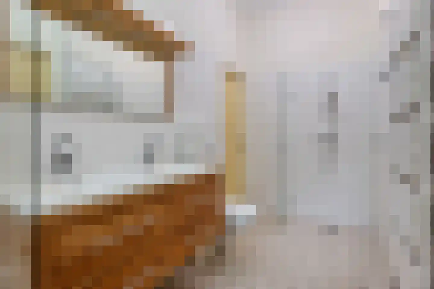 Hoofdstraat 1 Noordbroek thumbnail 18