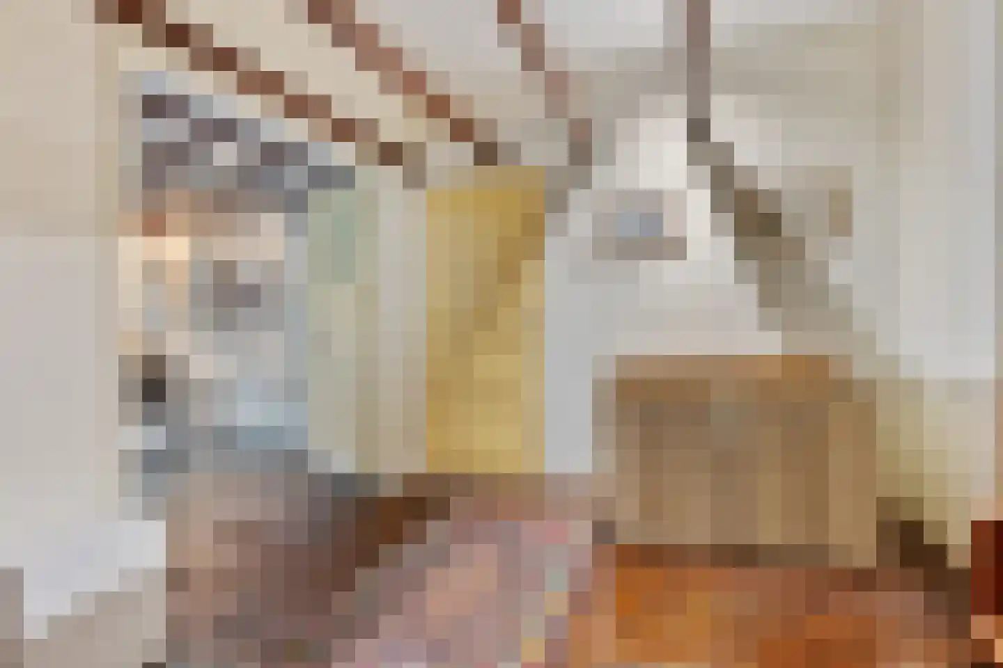 Hoofdstraat 1 Noordbroek thumbnail 27