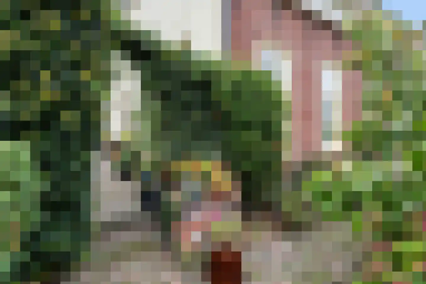 Hoofdstraat 1 Noordbroek thumbnail 39