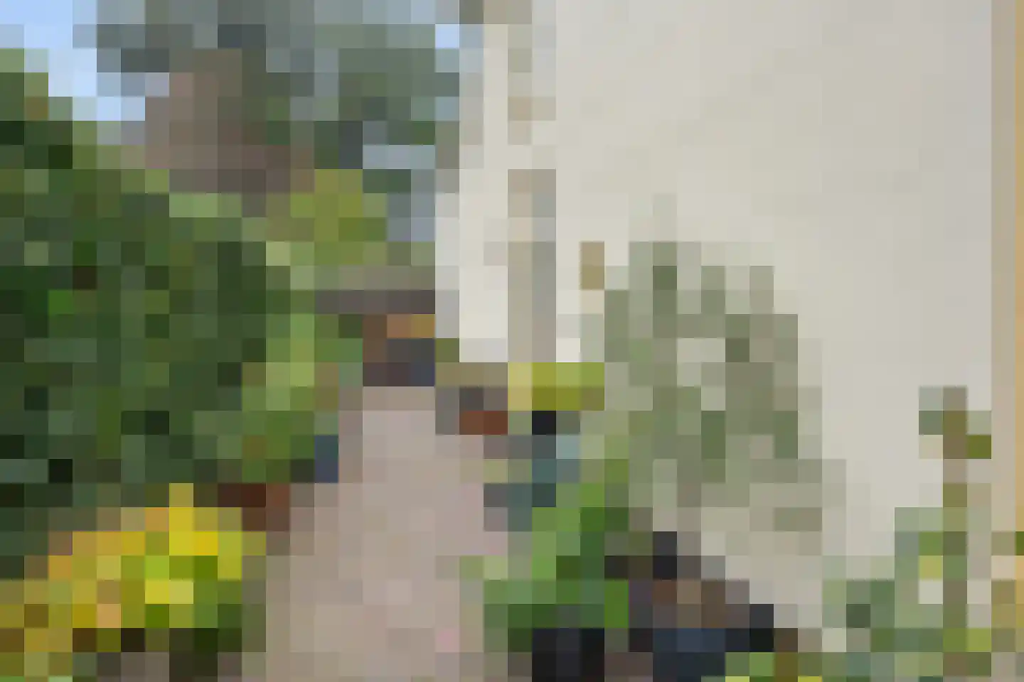 Hoofdstraat 1 Noordbroek thumbnail 42