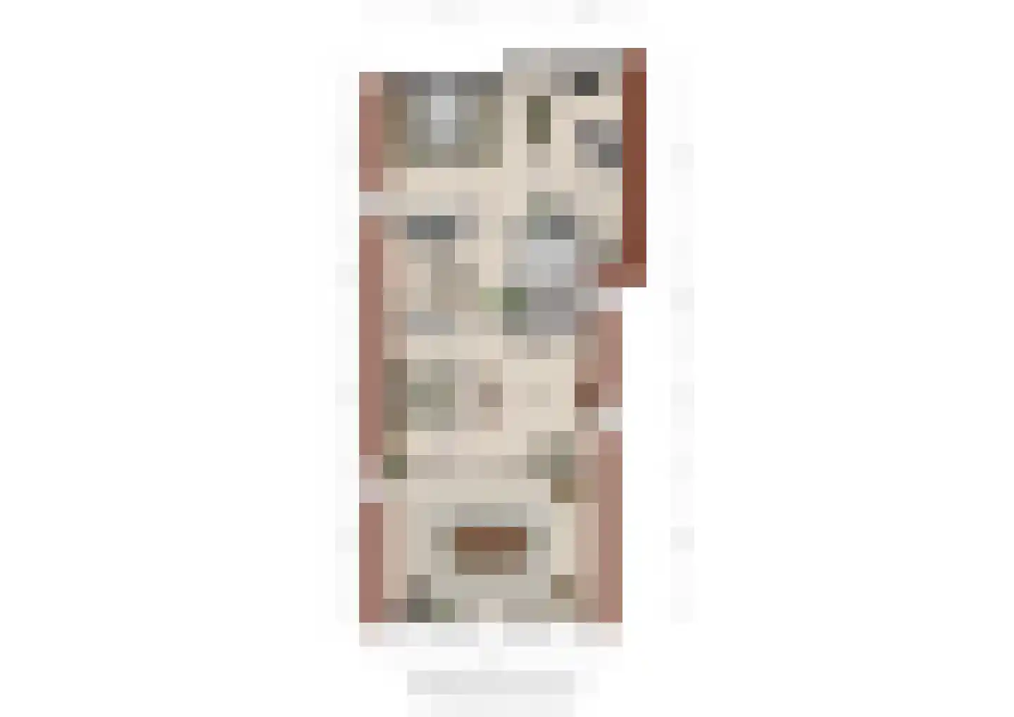 Hoofdstraat 1 Noordbroek thumbnail 46