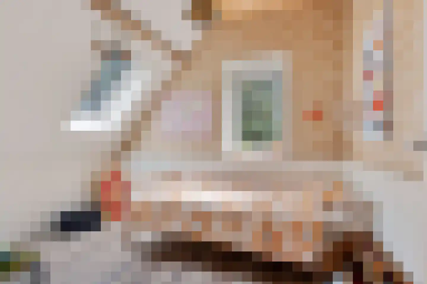Hoofdstraat 10 A Drouwen thumbnail 25