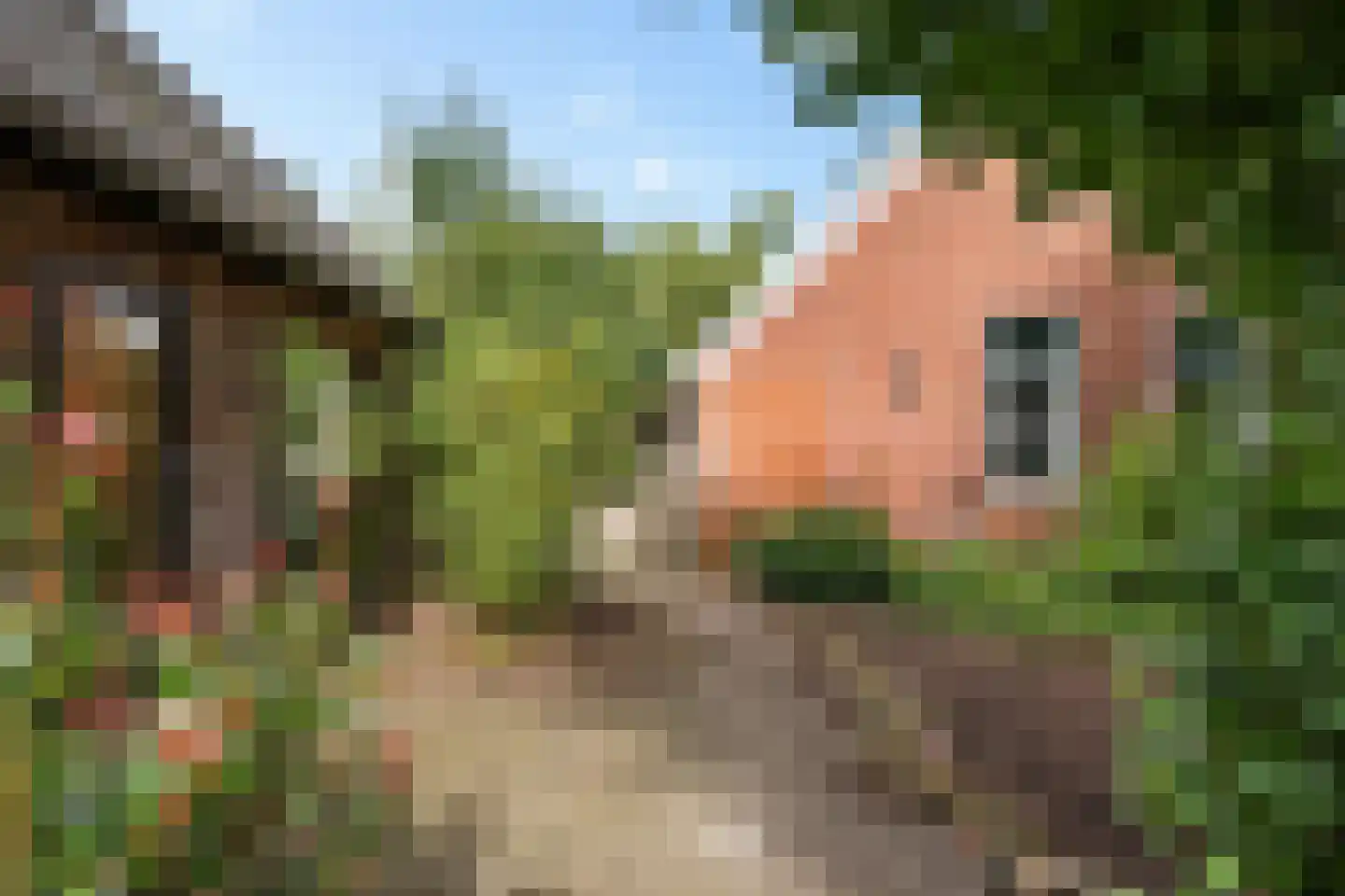 Hoofdstraat 10 A Drouwen thumbnail 35