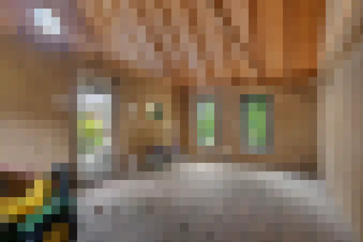 Hoofdstraat 10 A Drouwen thumbnail 40