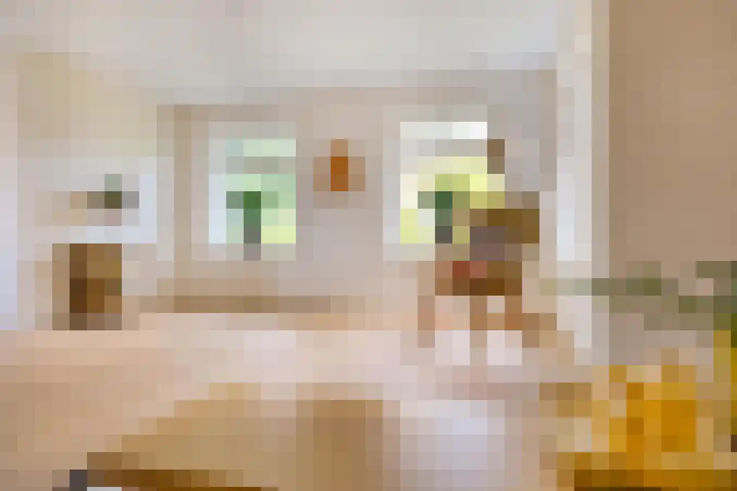 Hoofdstraat 10 Buinen thumbnail 15