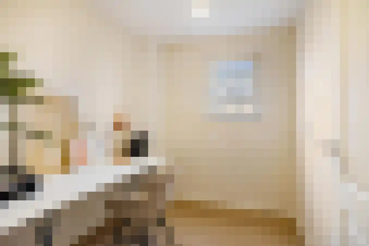 Hoofdstraat 10 Buinen thumbnail 20