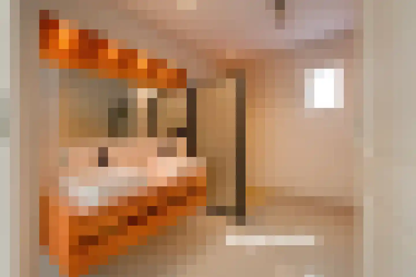 Hoofdstraat 10 Buinen thumbnail 42