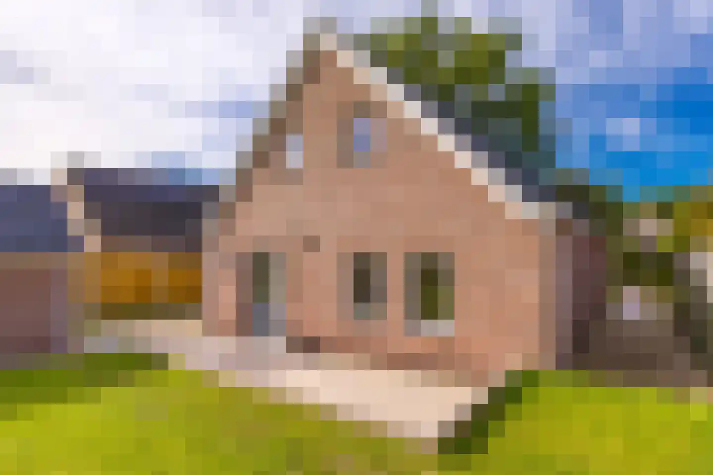 Hoofdstraat 10 Buinen thumbnail 46
