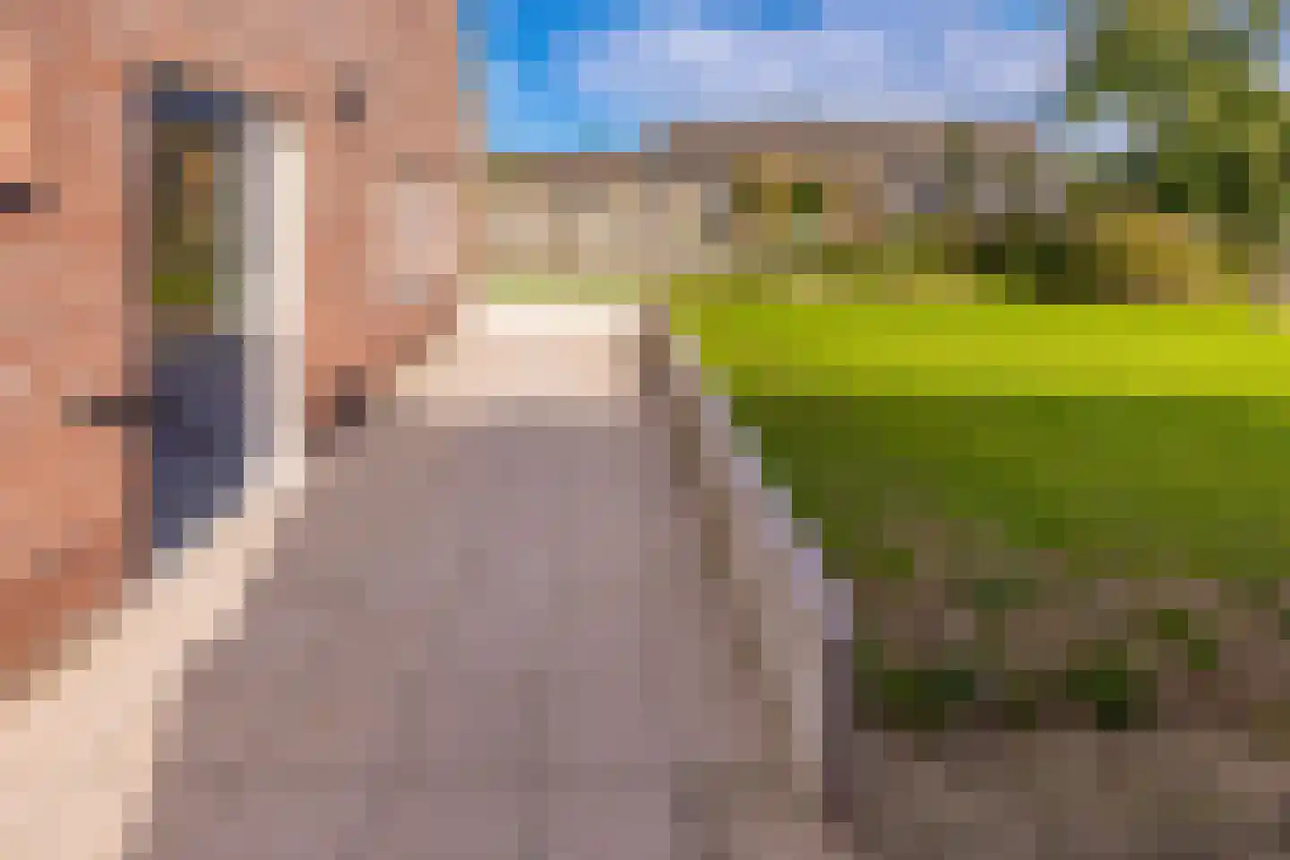 Hoofdstraat 10 Buinen thumbnail 47