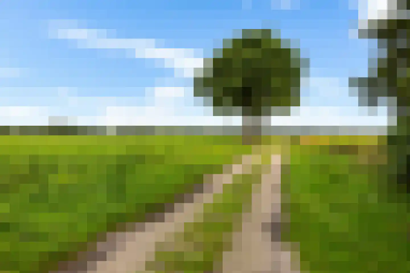 Hoofdstraat 10 Buinen thumbnail 53