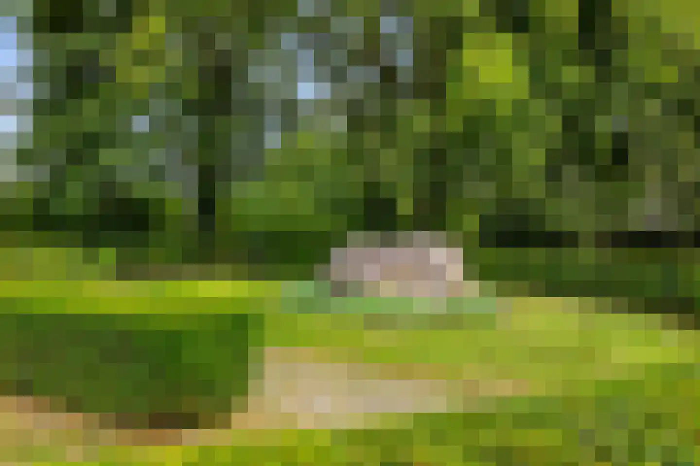 Hoofdstraat 10 Buinen thumbnail 54