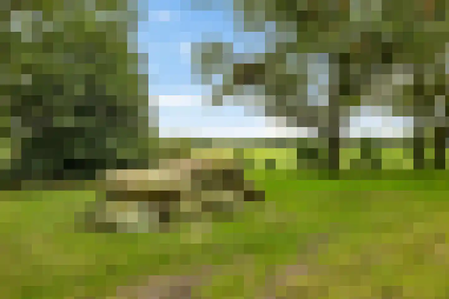 Hoofdstraat 10 Buinen thumbnail 55