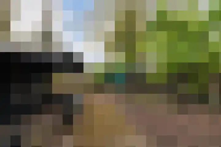 Hoofdstraat 10 Kaatsheuvel thumbnail 40