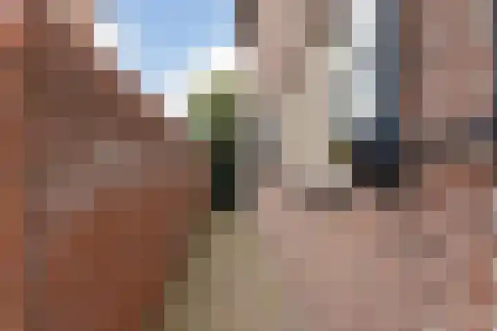 Hoofdstraat 10 Kaatsheuvel thumbnail 41