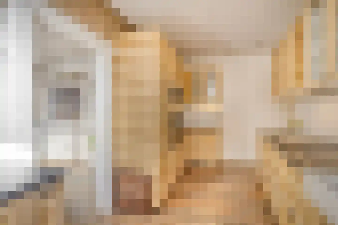 Hoofdstraat 10 Oldemarkt thumbnail 12