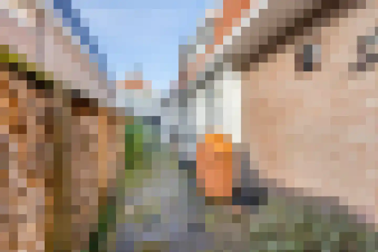 Hoofdstraat 10 Oldemarkt thumbnail 35