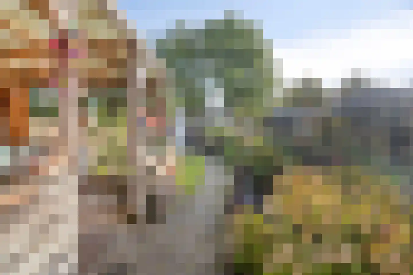 Hoofdstraat 10 Oldemarkt thumbnail 37