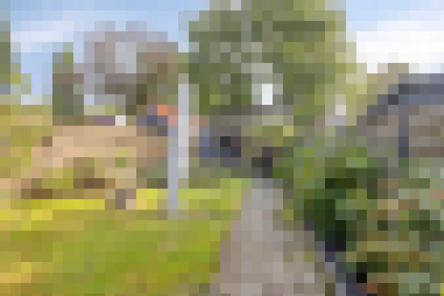 Hoofdstraat 10 Oldemarkt thumbnail 38