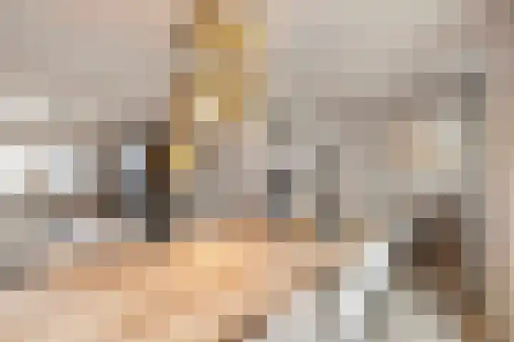 Hoofdstraat 10 Tolkamer thumbnail 12