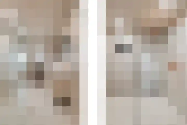 Hoofdstraat 10 Tolkamer thumbnail 19