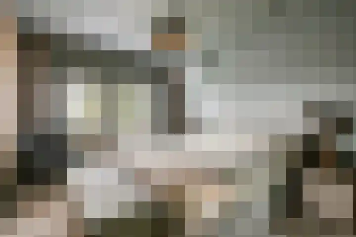 Hoofdstraat 10 Tolkamer thumbnail 20