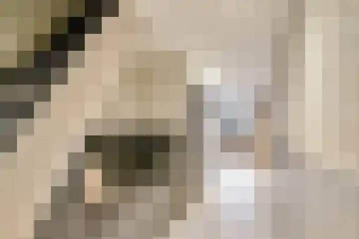 Hoofdstraat 10 Tolkamer thumbnail 26
