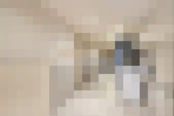 Hoofdstraat 10 Tolkamer thumbnail 28