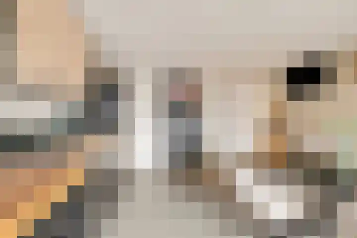 Hoofdstraat 10 Tolkamer thumbnail 31