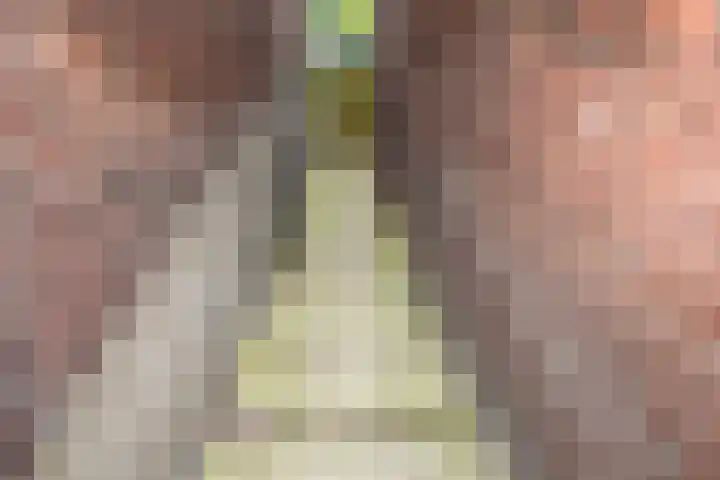 Hoofdstraat 10 Tolkamer thumbnail 40