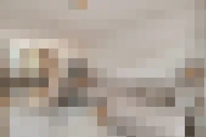 Hoofdstraat 10 Tolkamer thumbnail 8