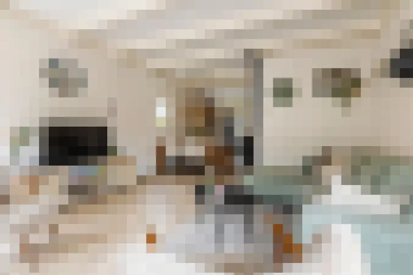 Hoofdstraat 10 Vierhuizen thumbnail 16