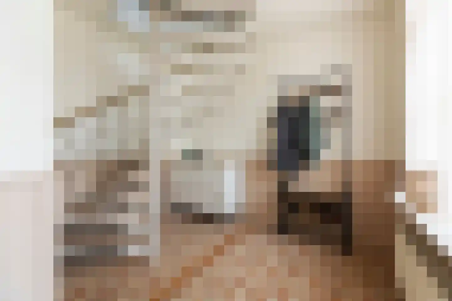 Hoofdstraat 10 Vierhuizen thumbnail 25