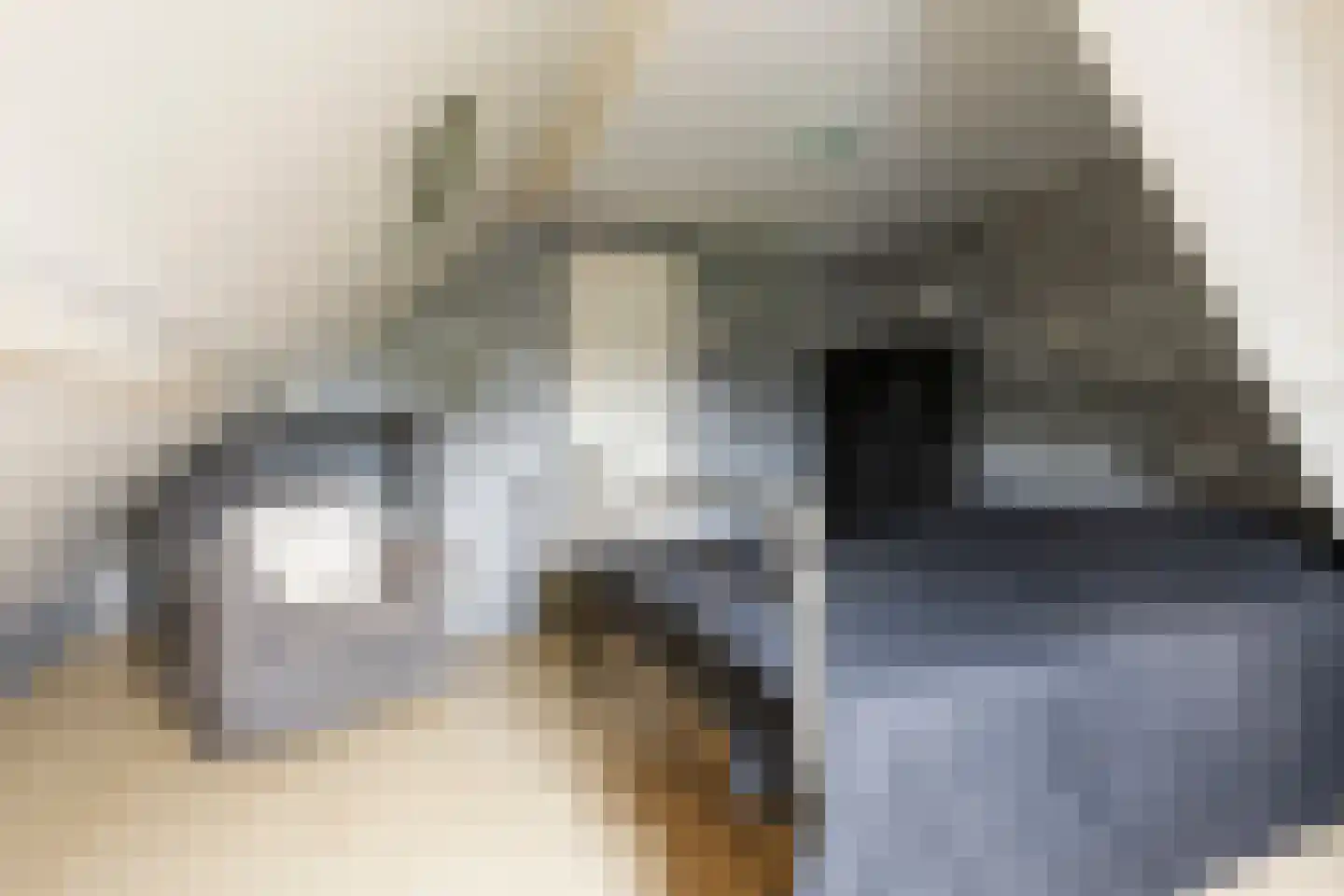 Hoofdstraat 10 Vierhuizen thumbnail 30