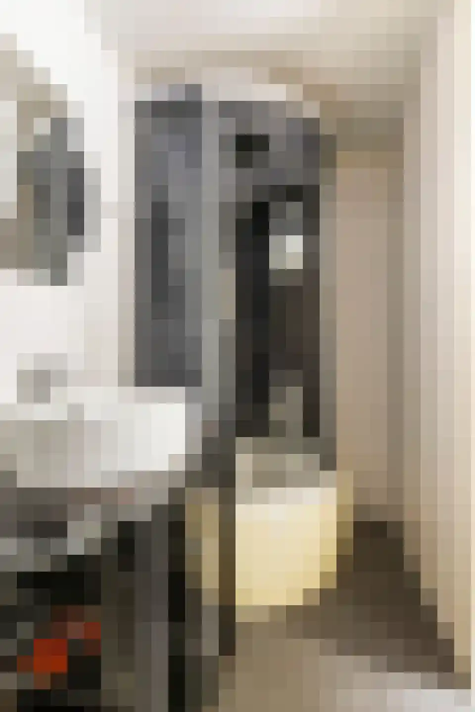 Hoofdstraat 10 Vierhuizen thumbnail 34