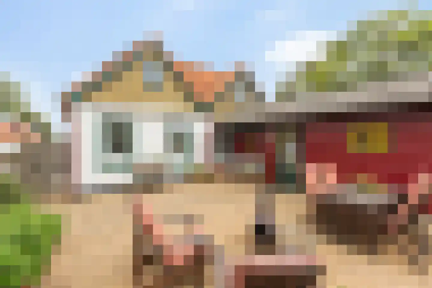 Hoofdstraat 10 Vierhuizen thumbnail 38