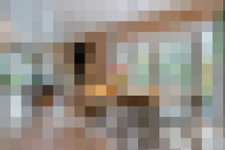 Hoofdstraat 10 Zweeloo thumbnail 12