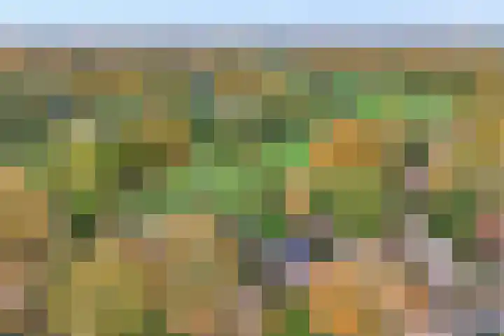 Hoofdstraat 10 Zweeloo thumbnail 29