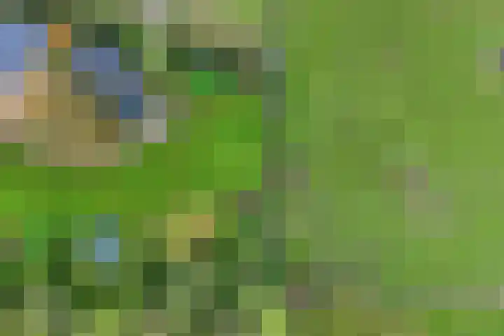 Hoofdstraat 10 Zweeloo thumbnail 30